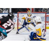 Saskatoon Blades in action