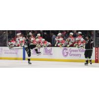 Ontario Reign's Samuel Fagemo celebrates win