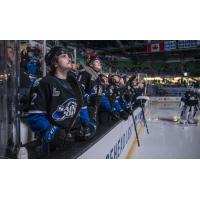 Saint John Sea Dogs bench