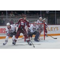 Peterborough Petes look for a scoring opportunity vs. the Guelph Storm