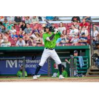 Kane County Cougars infielder Galli Cribbs Jr.