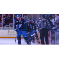 Wichita Thunder exchange congratulations along the bench