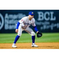 Infielder Alexis Pantoja with the Amarillo Sod Poodles