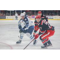 Grand Rapids Griffins defenseman Simon Edvinsson (right)