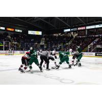 Kelowna Rockets face off with the Everett Silvertips