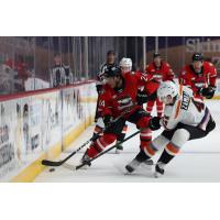 Charlotte Checkers' Justin Sourdif battles Lehigh Valley Phantoms' Egor Zamula