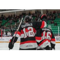 Belleville Senators' Cole Cassels and Matthew Boucher celebrate win