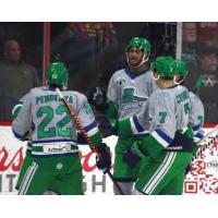 Florida Everblades' Joe Pendenza, Serron Noel and Austin Crossley on game night