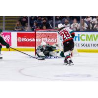 Kelowna Rockets' Andrew Cristall in action