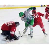 Allen Americans goaltender Chase Perry makes a stop against the Florida Everblades