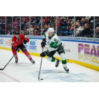 Rockford IceHogs' Mike Hardman battles Texas Stars' Ryan Shea