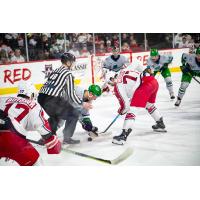 Allen Americans center Grant Hebert in the face off circle