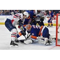 Springfield Thunderbirds' Greg Printz battles Bridgeport Islanders' Cory Schneider