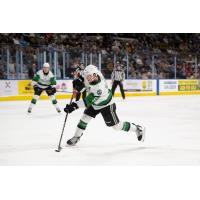 Texas Stars' Ben Gleason in action