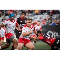 Utah Warriors' Calvin Whiting in action