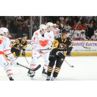 Lehigh Valley Phantoms' Egor Zamula and Wilkes-Barre/Scranton Penguins' Raivis Ansons in action