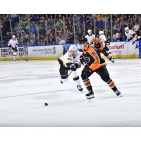Wilkes-Barre/Scranton Penguins' Taylor Gauthier battles Lehigh Valley Phantoms' Emil Andrae