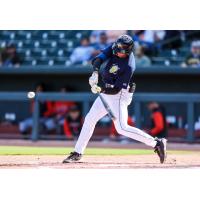 Columbia Fireflies' Erick Peña at bat