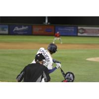 Tri-City Dust Devils shortstop Christian Sepulveda