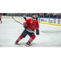 Rockford IceHogs right wing Rocco Grimaldi