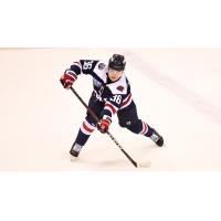 South Carolina Stingrays defenseman Michael Kim