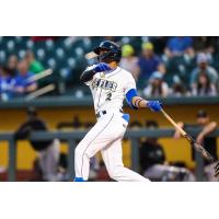 Columbia Fireflies' Daniel Vazquez in action