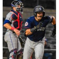 Somerset Patriots' Austin Wells in action