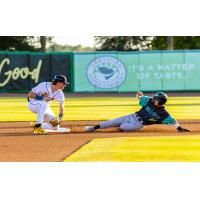 Charleston RiverDogs and Lynchburg Hillcats in action