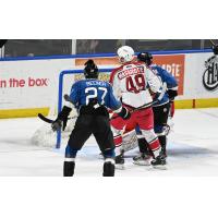 Zach Massicotte of the Allen Americans against the Idaho Steelheads