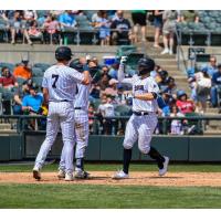 The Somerset Patriots greet Tyler Hardman after his home run