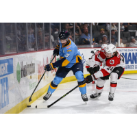 Toledo Walleye's Charlie Curti battles Cincinnati Cyclones' Lincoln Griffin