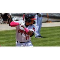 Jesus Parra at bat for the Carolina Mudcats