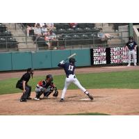 Tri-City Dust Devils' Werner Blakely at bat