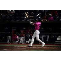 Pensacola Blue Wahoos at bat