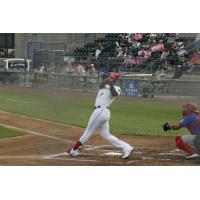 Tri-City Dust Devils' Christian Molfetta at bat