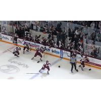 Peterborough Petes on the ice