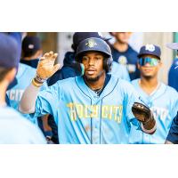 Charleston RiverDogs exchange congratulations in the dugout