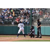 Tri-City Dust Devils' Gustavo Campero at bat