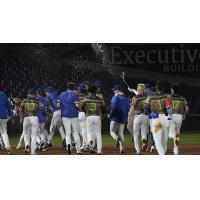 Tulsa Drillers celebrate win