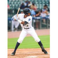 Columbia Fireflies' Brennon McNair at bat