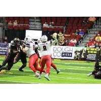 Sioux Falls Storm's Lorenzo Brown Jr. in action
