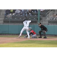 Tri-City Dust Devils' Alexander Ramirez  at bat