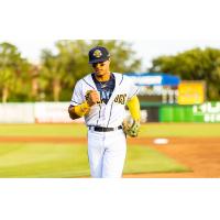 Charleston RiverDogs' Alex Ayala Jr. on game day