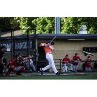 Mankato MoonDogs at the plate