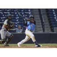 Tampa Tarpons' Christopher Familia at bat