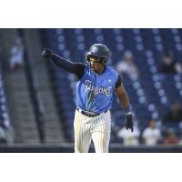 Tampa Tarpons' Christopher Familia on game day