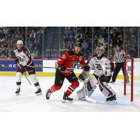 Quebec Remparts' Nathan Gaucher battles Peterborough Petes' Michael Simpson