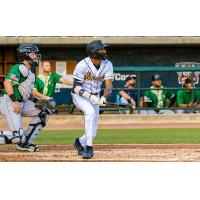 Charleston RiverDogs in action