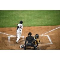 Fayetteville Woodpeckers' Luis Encarnacion at bat