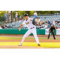 Charleston RiverDogs' Marcus Johnson on the mound